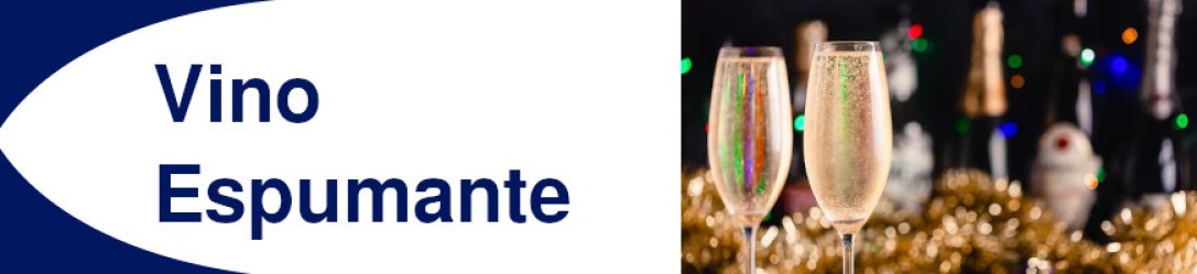 banner_al_por_mayor_vino_espumante