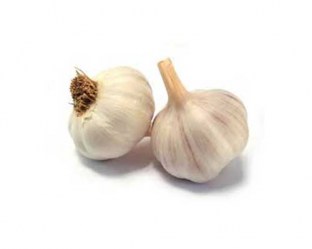 Ajo_por_Libra_5787e30754ecc