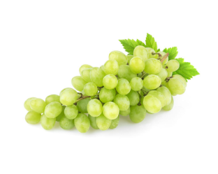 uvavwerdesinsemilla4